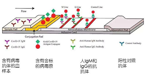 1599654805552311.jpg t1.jpg